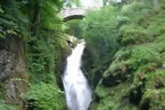 Aira Force